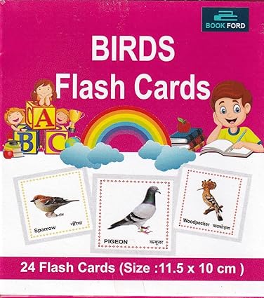 Birds : Flash Cards