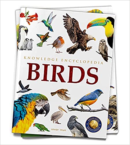 Animals - Birds : Knowledge Encyclopedia For Children