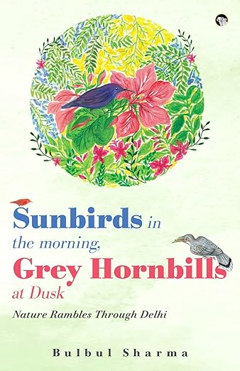 Sunbirds In The Morning, Grey Hornbills At Dusk