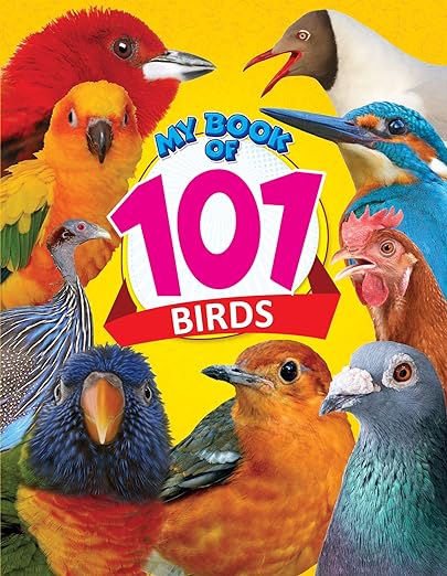 Birds My 101 Picture Book For Children Age 2 - 4 Years