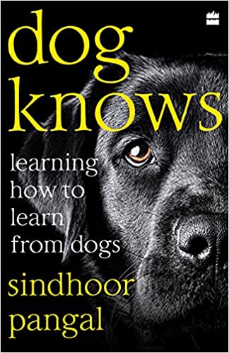 Dog Knows: Learning How To Learn From Dogs