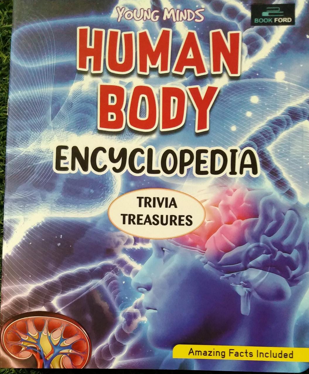 Young Minds Human Body Encyclopedia